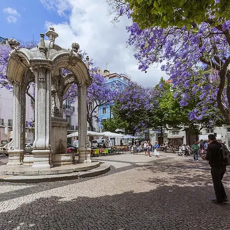 Chiado/bairro * Lisboa